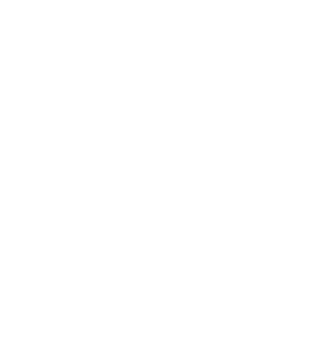 Networking Logo